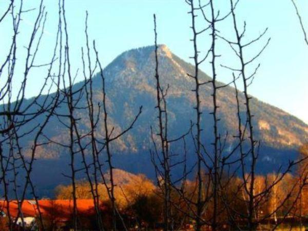 Zaissererhof براننبرغ الغرفة الصورة